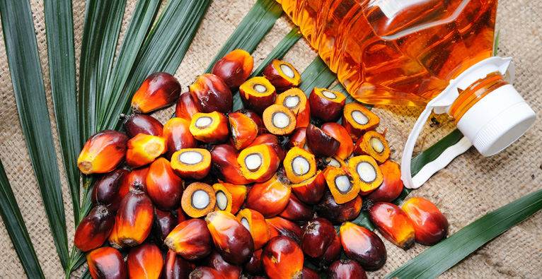 Processing of palm oil, palm kernel oil and fractionation process